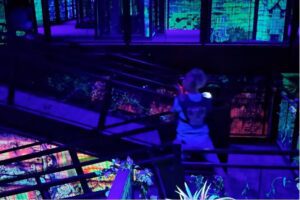 Indoor Fun Center Logan UT | Go-Karts & Games | The Rush Funplex